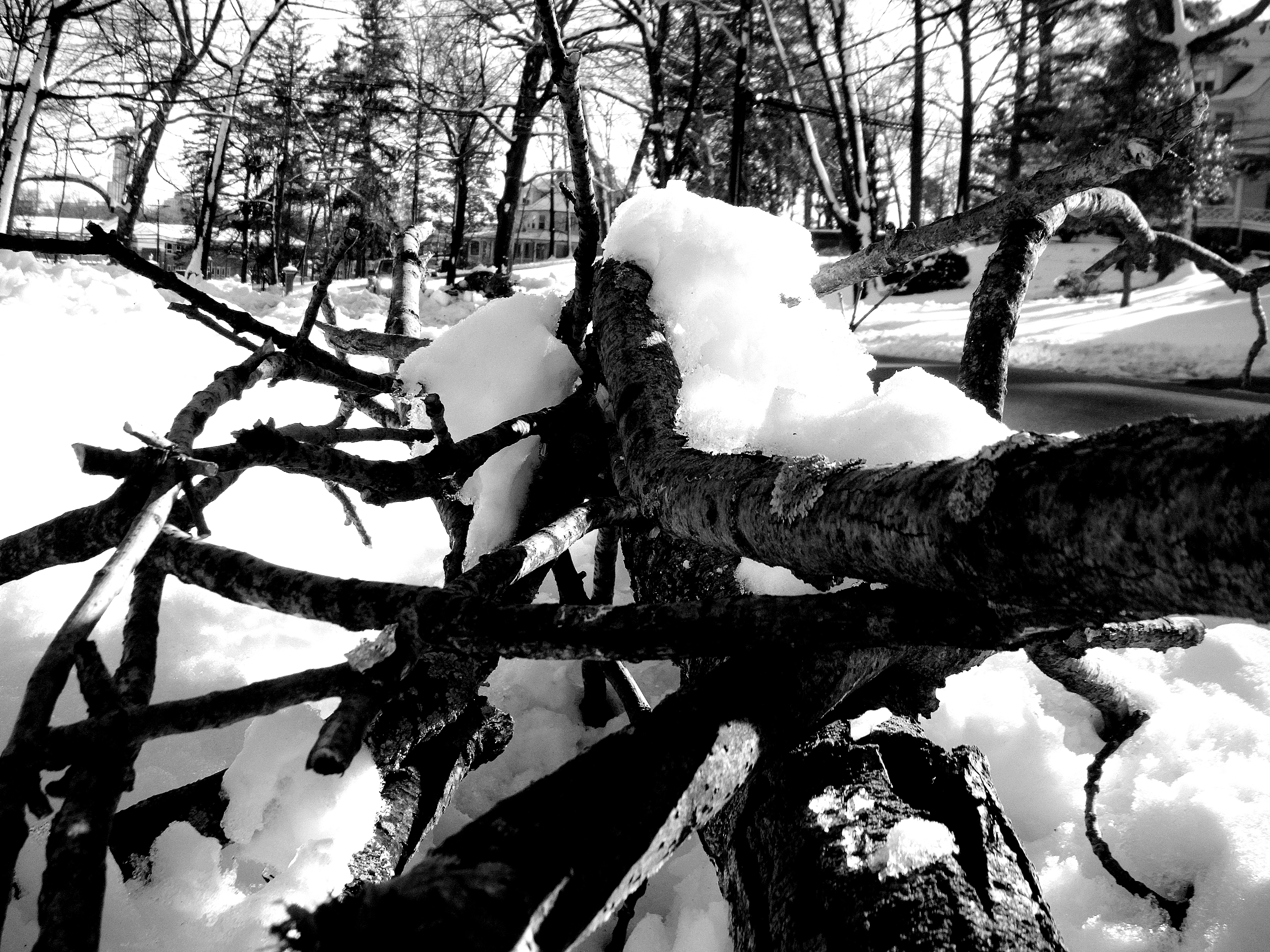 Snowfall in Westchester County