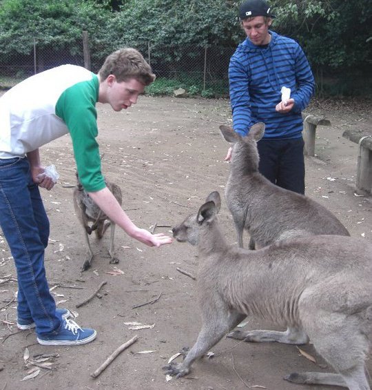 Feeding Kangaroos with my friend Julian