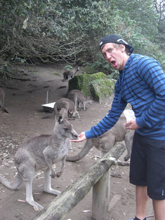 Feeding Kangaroo Jack