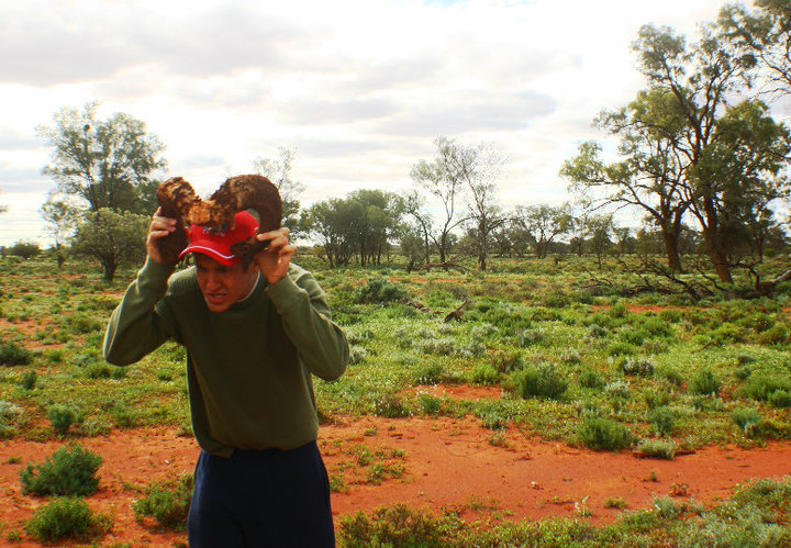 Pretending to be a Ram in the Outback